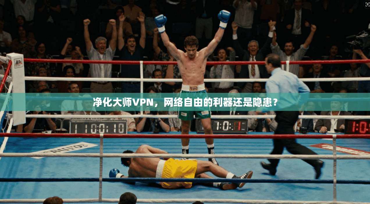 净化大师VPN，网络自由的利器还是隐患？
