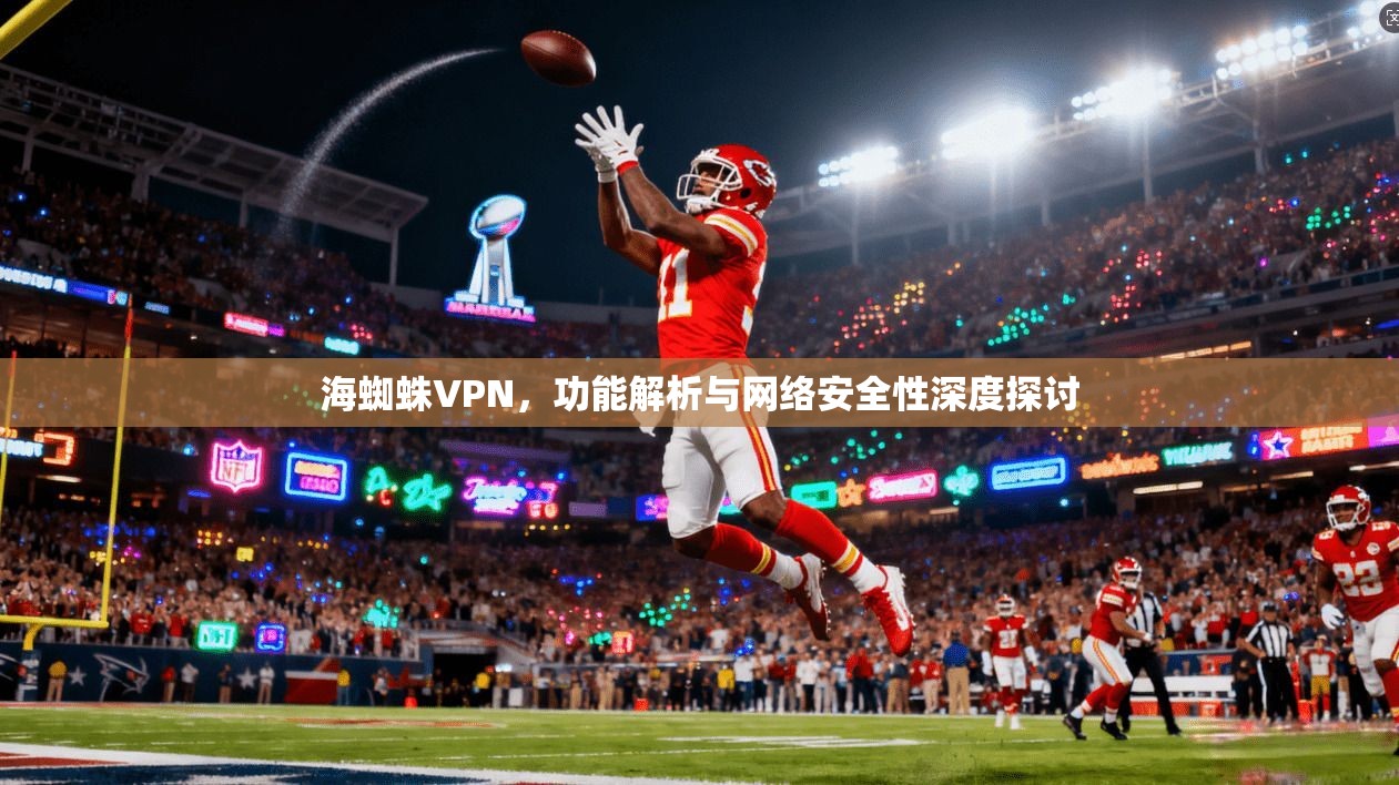海蜘蛛VPN，功能解析与网络安全性深度探讨