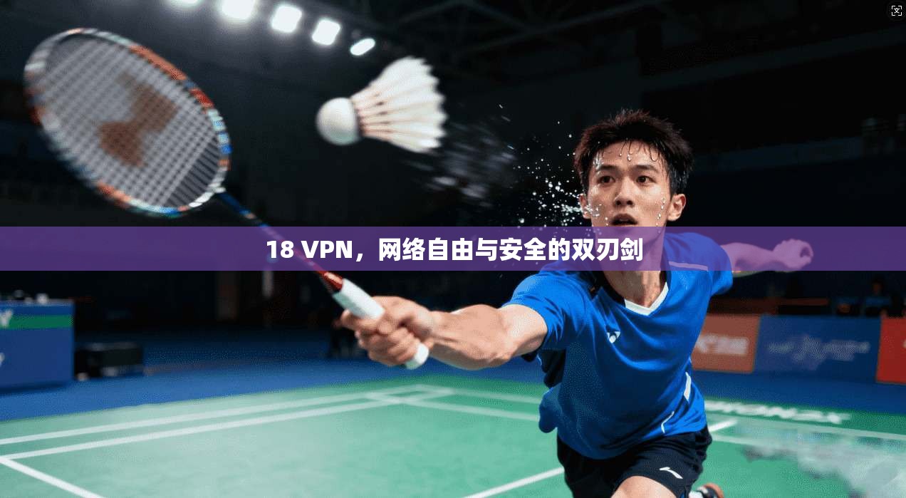18 VPN，网络自由与安全的双刃剑