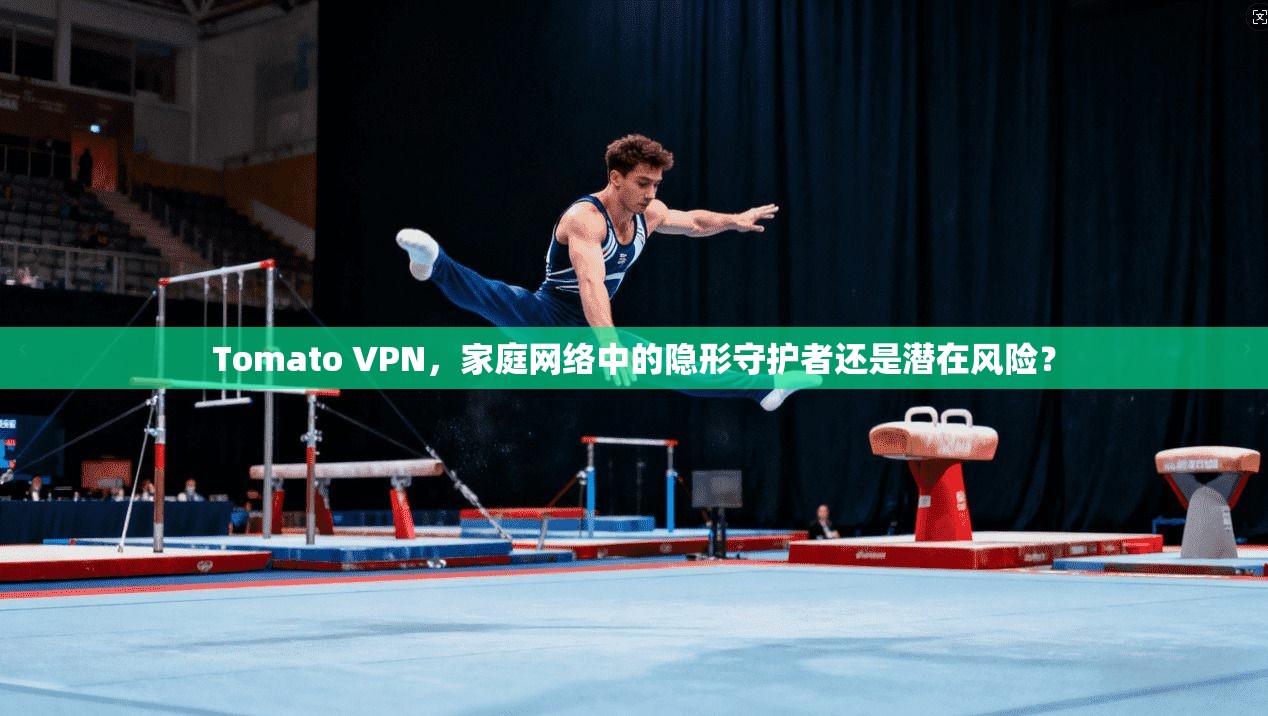 Tomato VPN，家庭网络中的隐形守护者还是潜在风险？