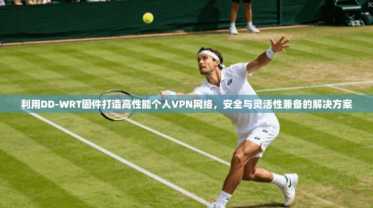 利用DD-WRT固件打造高性能个人VPN网络，安全与灵活性兼备的解决方案