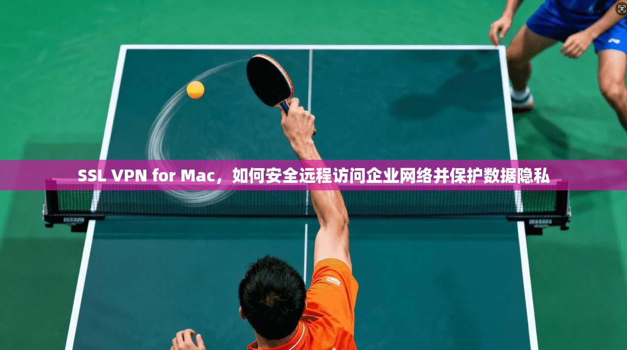 SSL VPN for Mac，如何安全远程访问企业网络并保护数据隐私