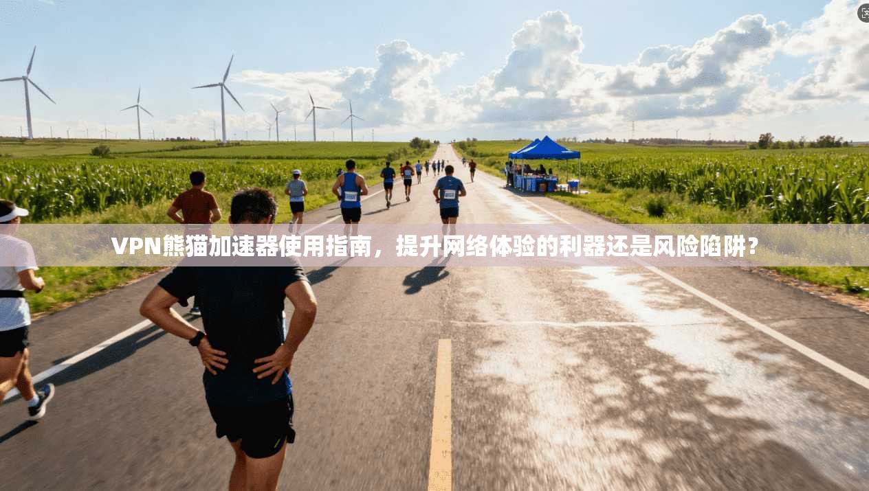 VPN熊猫加速器使用指南，提升网络体验的利器还是风险陷阱？