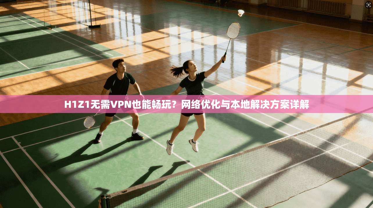 H1Z1无需VPN也能畅玩？网络优化与本地解决方案详解