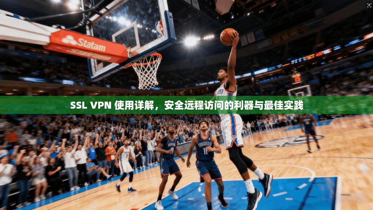 SSL VPN 使用详解，安全远程访问的利器与最佳实践