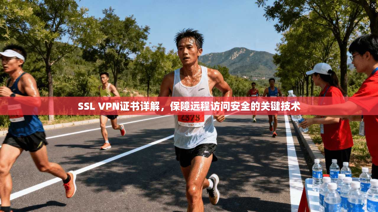 SSL VPN证书详解，保障远程访问安全的关键技术