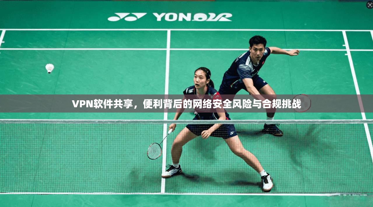 VPN软件共享，便利背后的网络安全风险与合规挑战