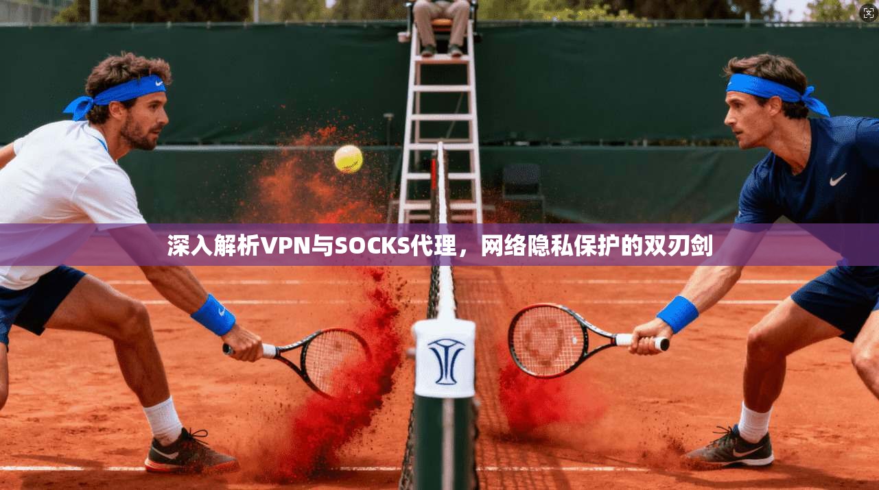 深入解析VPN与SOCKS代理,网络隐私保护的双刃剑 深入解析VPN与SOCKS代理,网络隐私保护的双刃剑