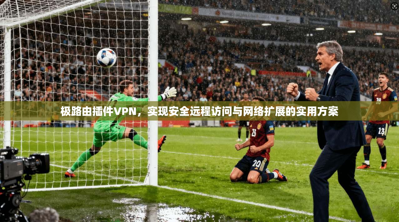 极路由插件VPN，实现安全远程访问与网络扩展的实用方案