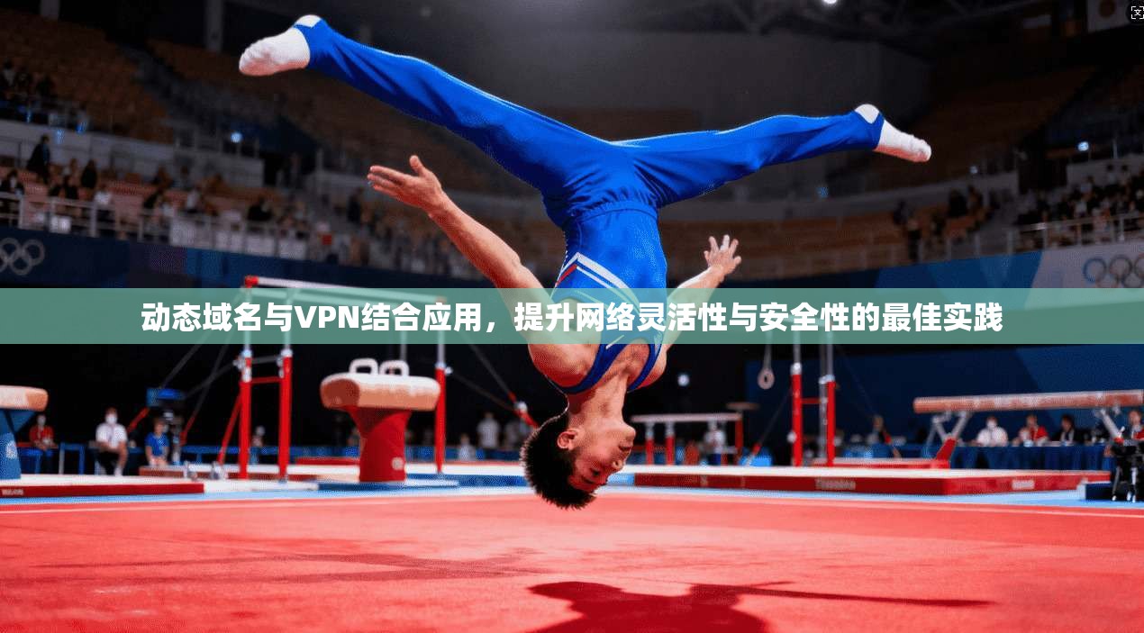 动态域名与VPN结合应用,提升网络灵活性与安全性的最佳实践 动态域名与VPN结合应用,提升网络灵活性与安全性的最佳实践
