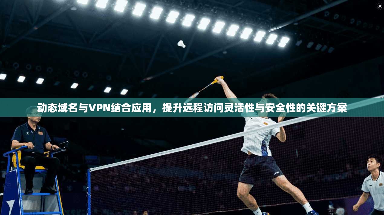 动态域名与VPN结合应用，提升远程访问灵活性与安全性的关键方案
