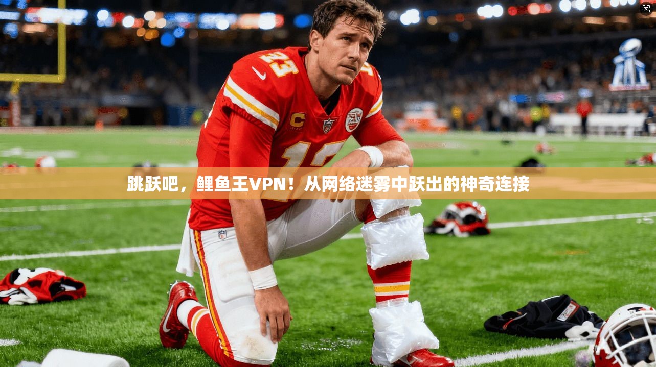 跳跃吧，鲤鱼王VPN！从网络迷雾中跃出的神奇连接