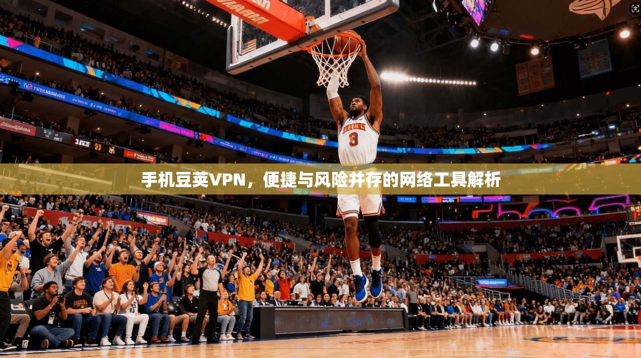 手机豆荚VPN，便捷与风险并存的网络工具解析