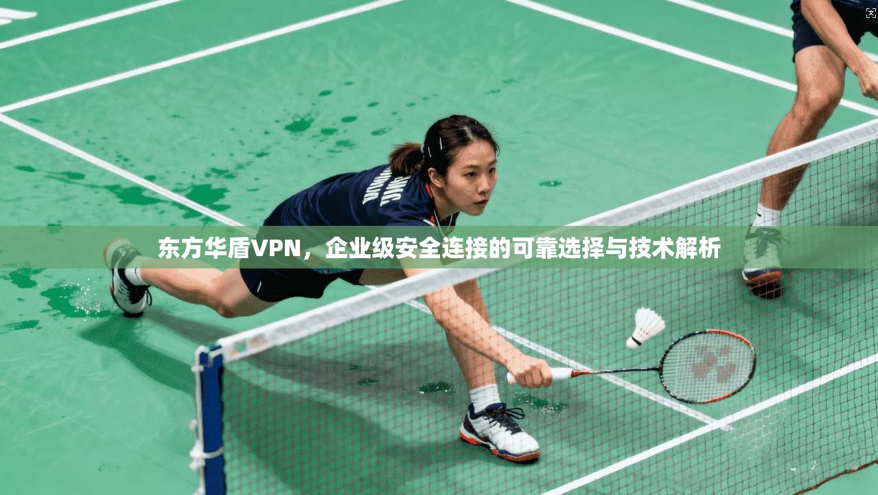 东方华盾VPN，企业级安全连接的可靠选择与技术解析
