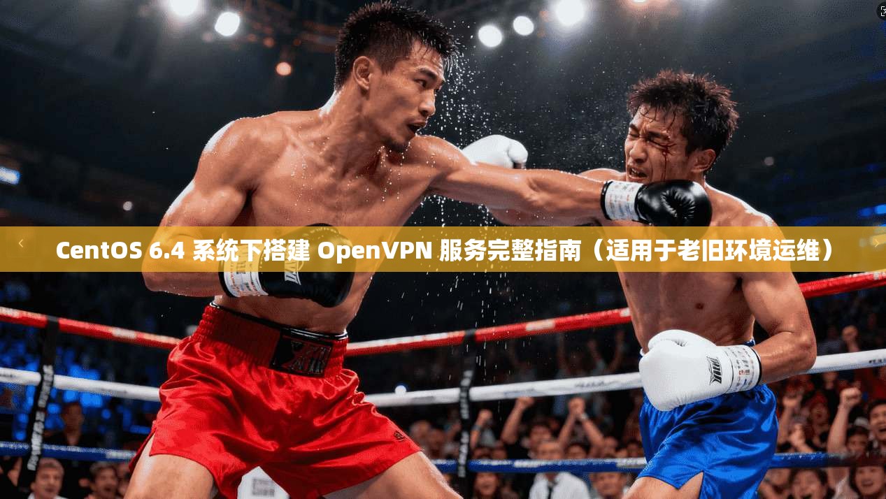 CentOS 6.4 系统下搭建 OpenVPN 服务完整指南（适用于老旧环境运维）
