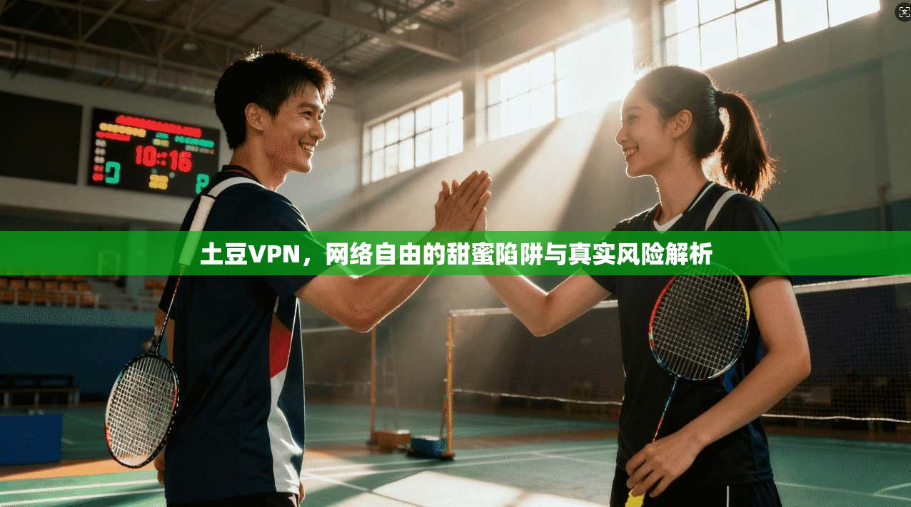 土豆VPN,网络自由的甜蜜陷阱与真实风险解析 土豆VPN,网络自由的甜蜜陷阱与真实风险解析