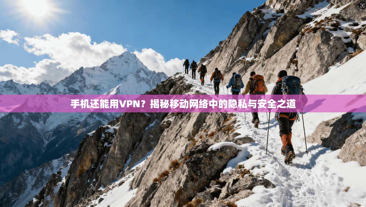 手机还能用VPN？揭秘移动网络中的隐私与安全之道