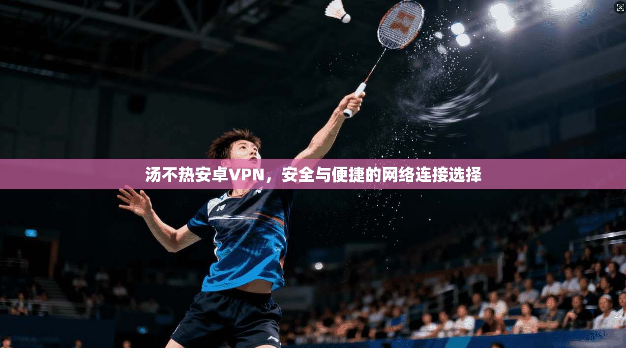 汤不热安卓VPN，安全与便捷的网络连接选择