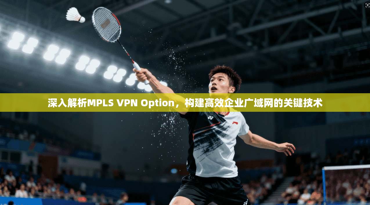 深入解析MPLS VPN Option，构建高效企业广域网的关键技术