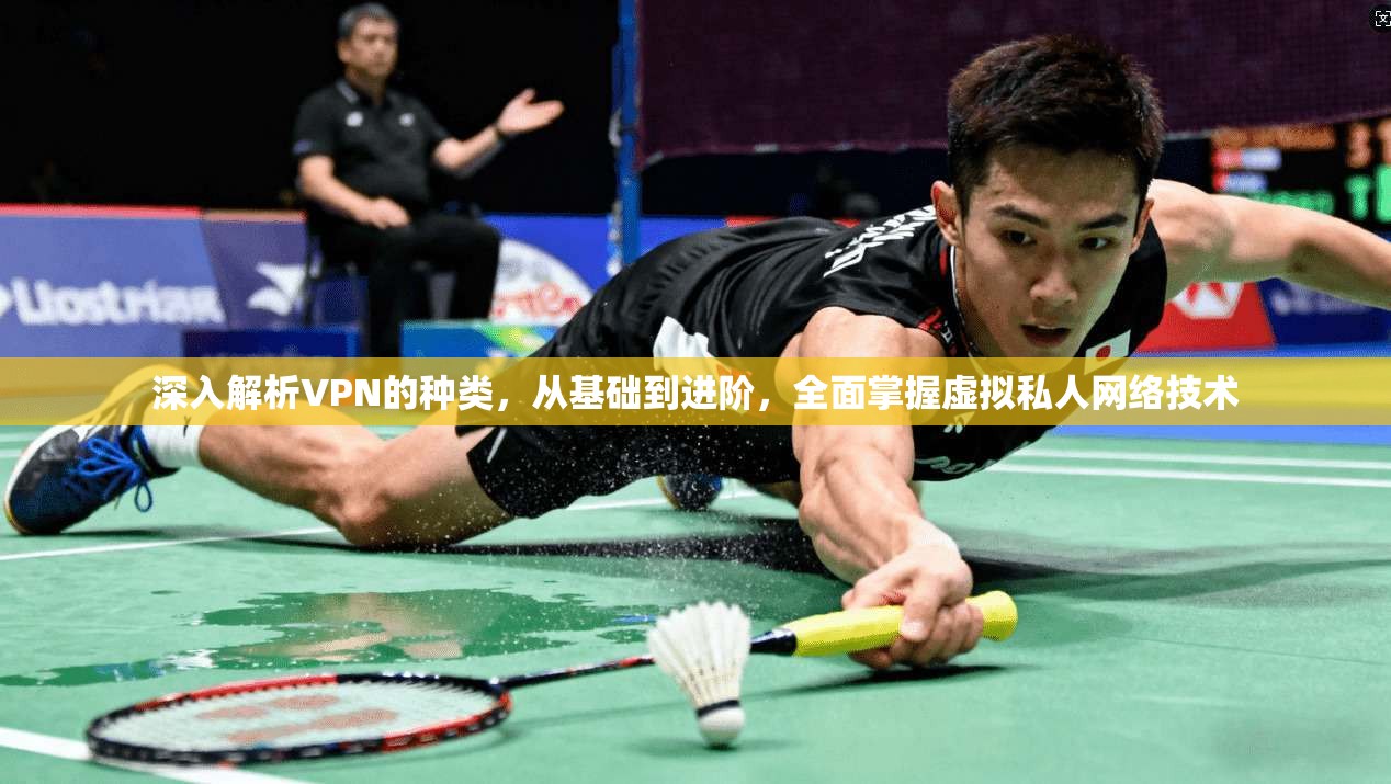深入解析VPN的种类，从基础到进阶，全面掌握虚拟私人网络技术