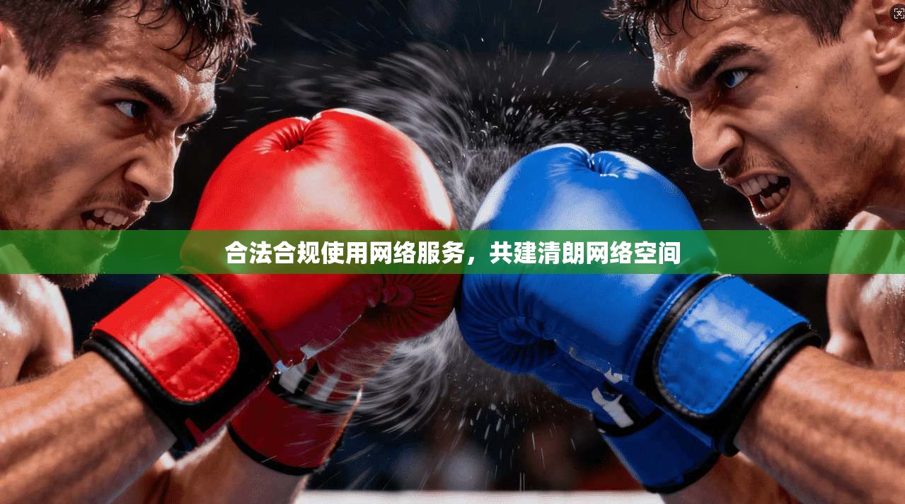 合法合规使用网络服务，共建清朗网络空间