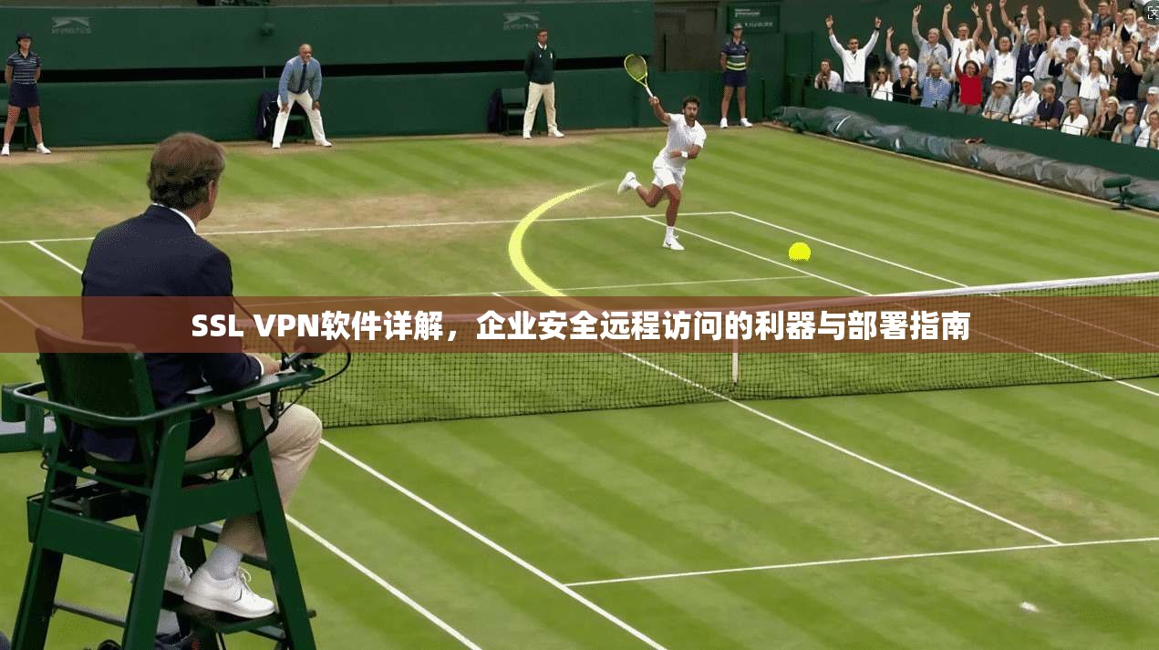 SSL VPN软件详解，企业安全远程访问的利器与部署指南