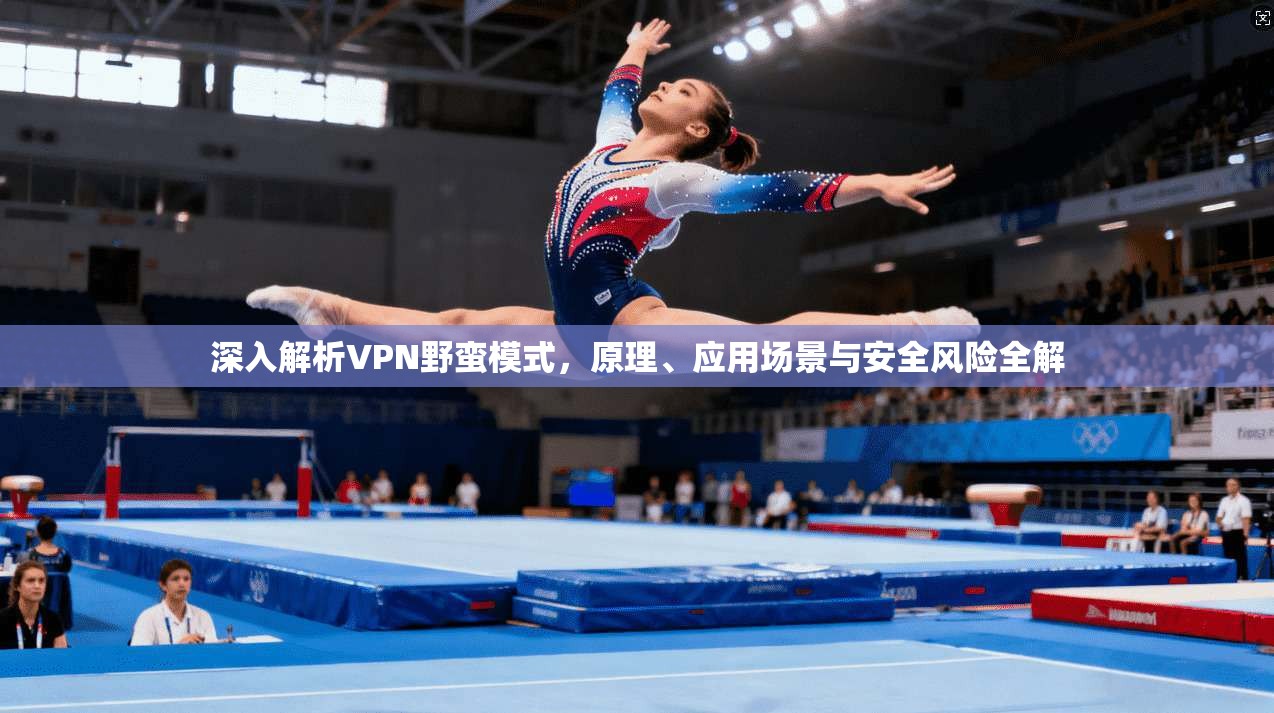 深入解析VPN野蛮模式，原理、应用场景与安全风险全解