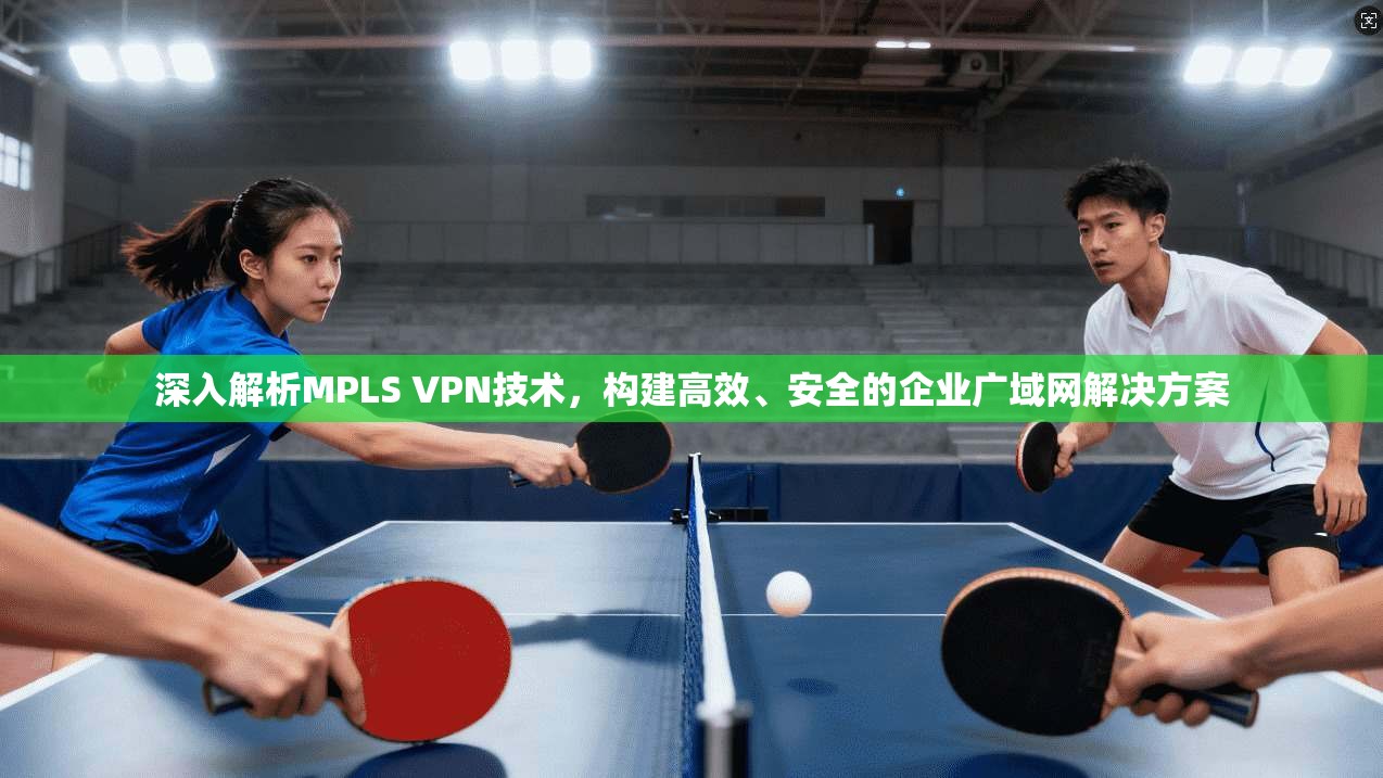 深入解析MPLS VPN技术，构建高效、安全的企业广域网解决方案