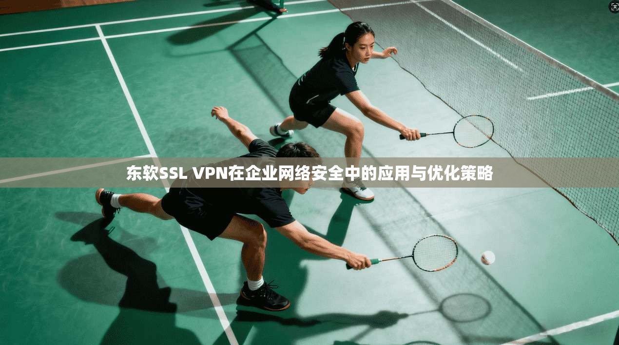 东软SSL VPN在企业网络安全中的应用与优化策略