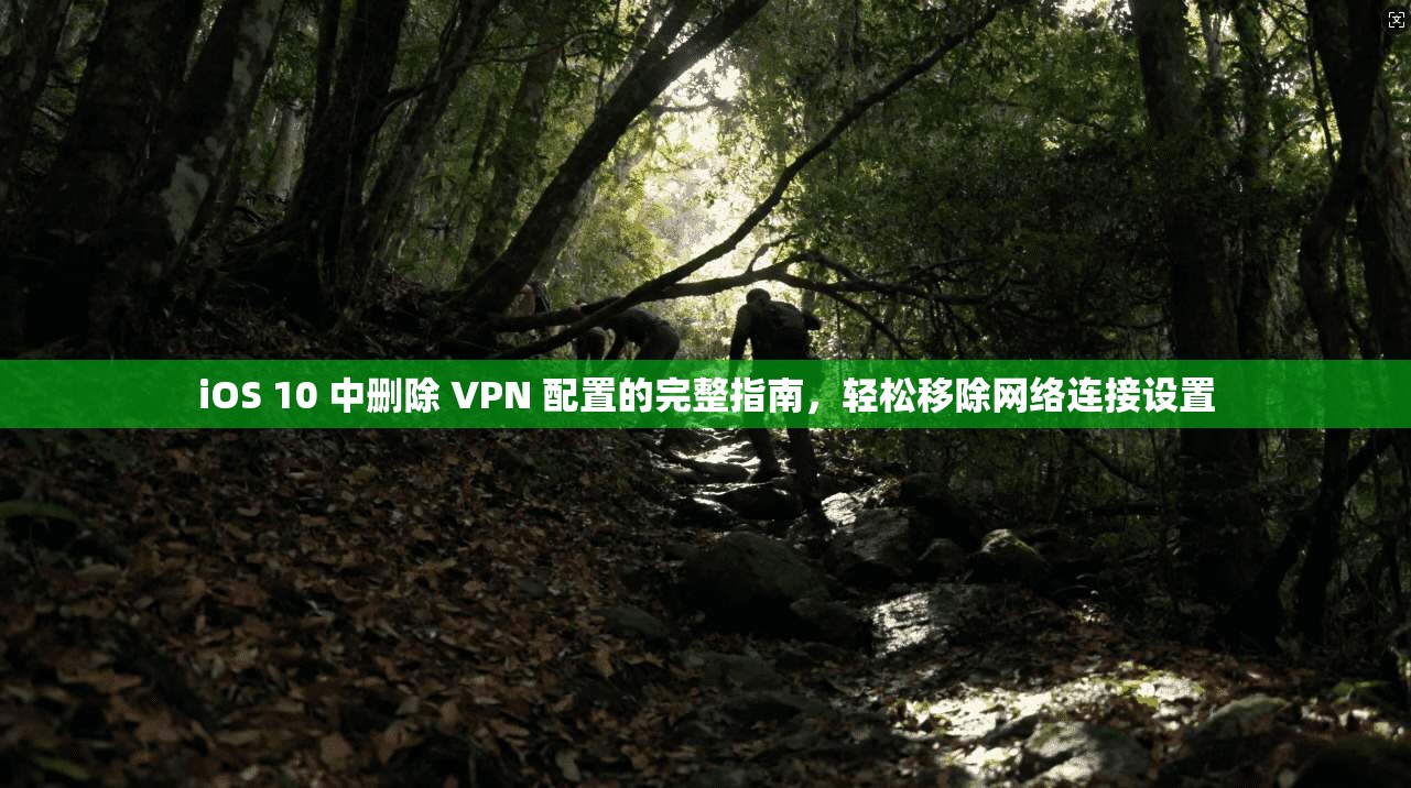 iOS 10 中删除 VPN 配置的完整指南，轻松移除网络连接设置