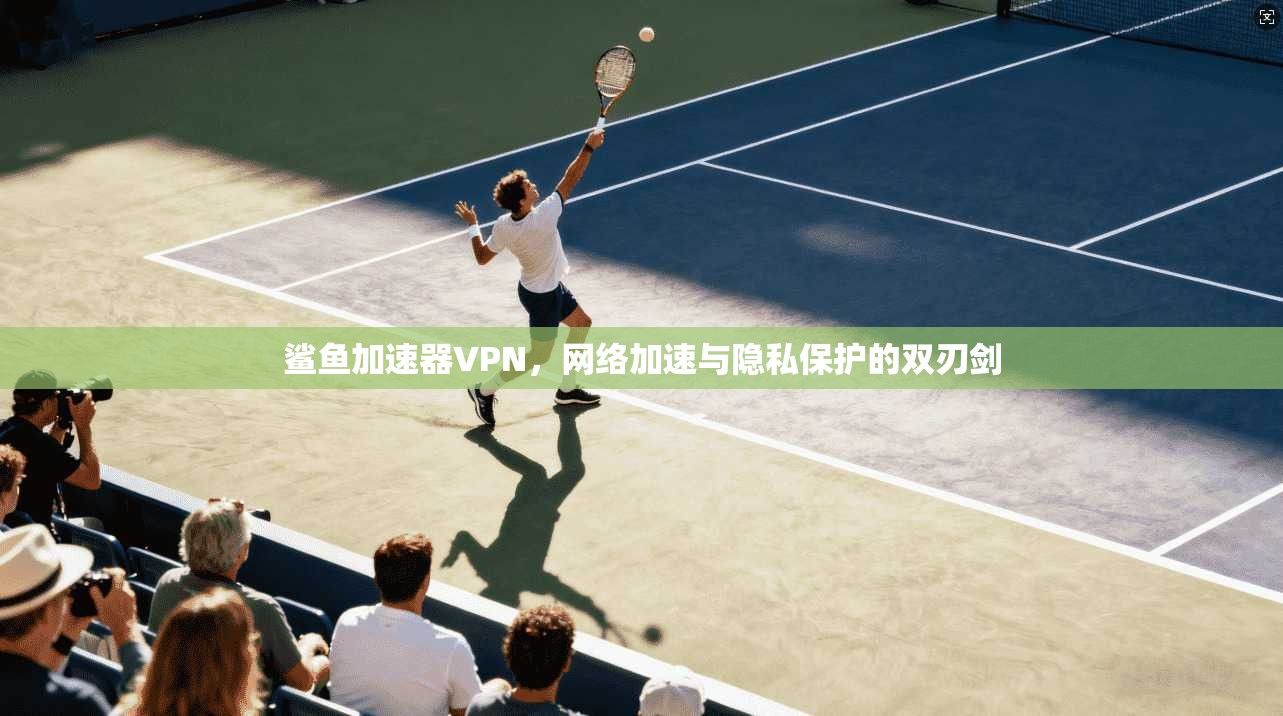 鲨鱼加速器VPN，网络加速与隐私保护的双刃剑