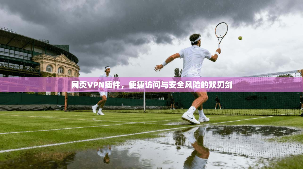网页VPN插件，便捷访问与安全风险的双刃剑