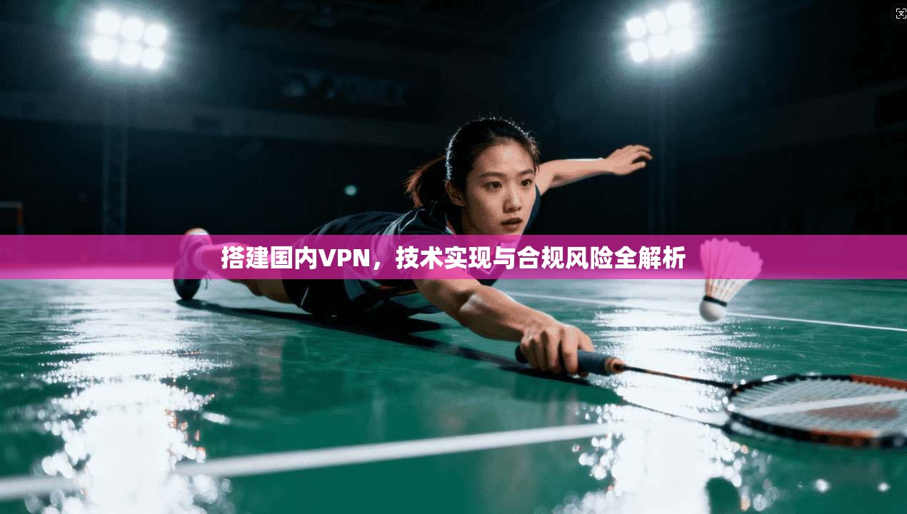 搭建国内VPN，技术实现与合规风险全解析