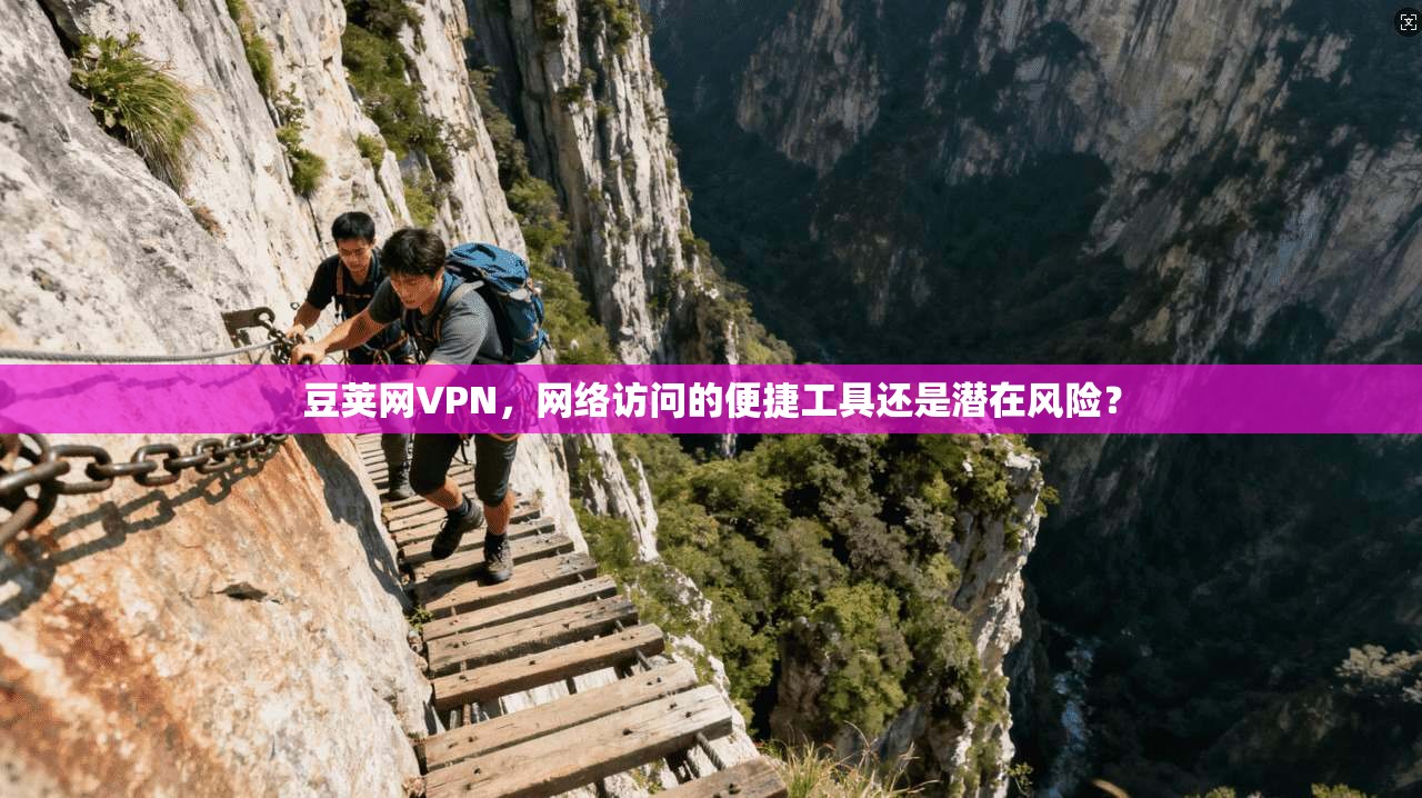 豆荚网VPN，网络访问的便捷工具还是潜在风险？