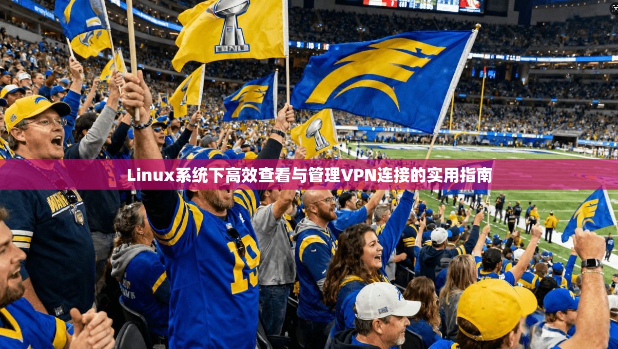Linux系统下高效查看与管理VPN连接的实用指南