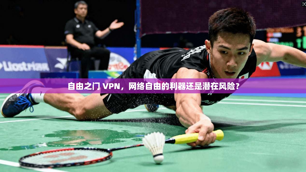 自由之门 VPN，网络自由的利器还是潜在风险？