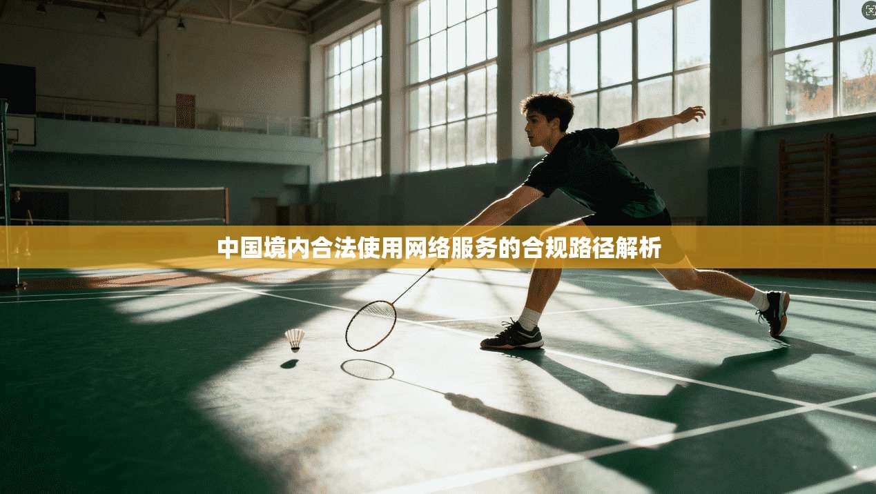 中国境内合法使用网络服务的合规路径解析