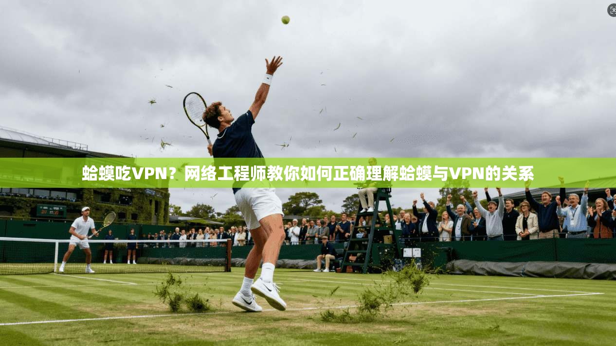 蛤蟆吃VPN？网络工程师教你如何正确理解蛤蟆与VPN的关系