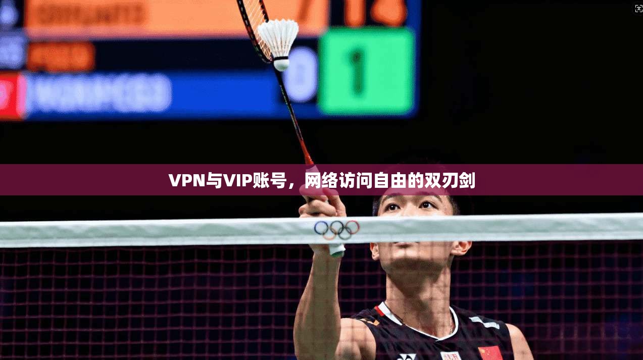 VPN与VIP账号，网络访问自由的双刃剑