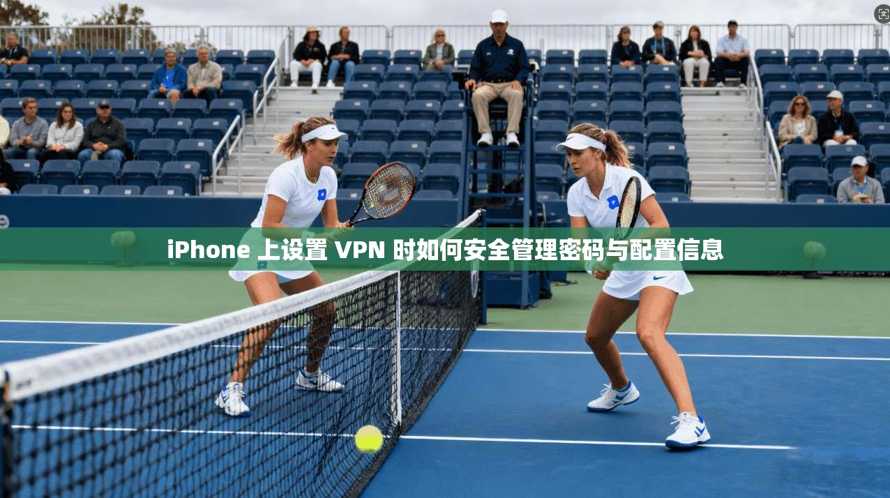iPhone 上设置 VPN 时如何安全管理密码与配置信息