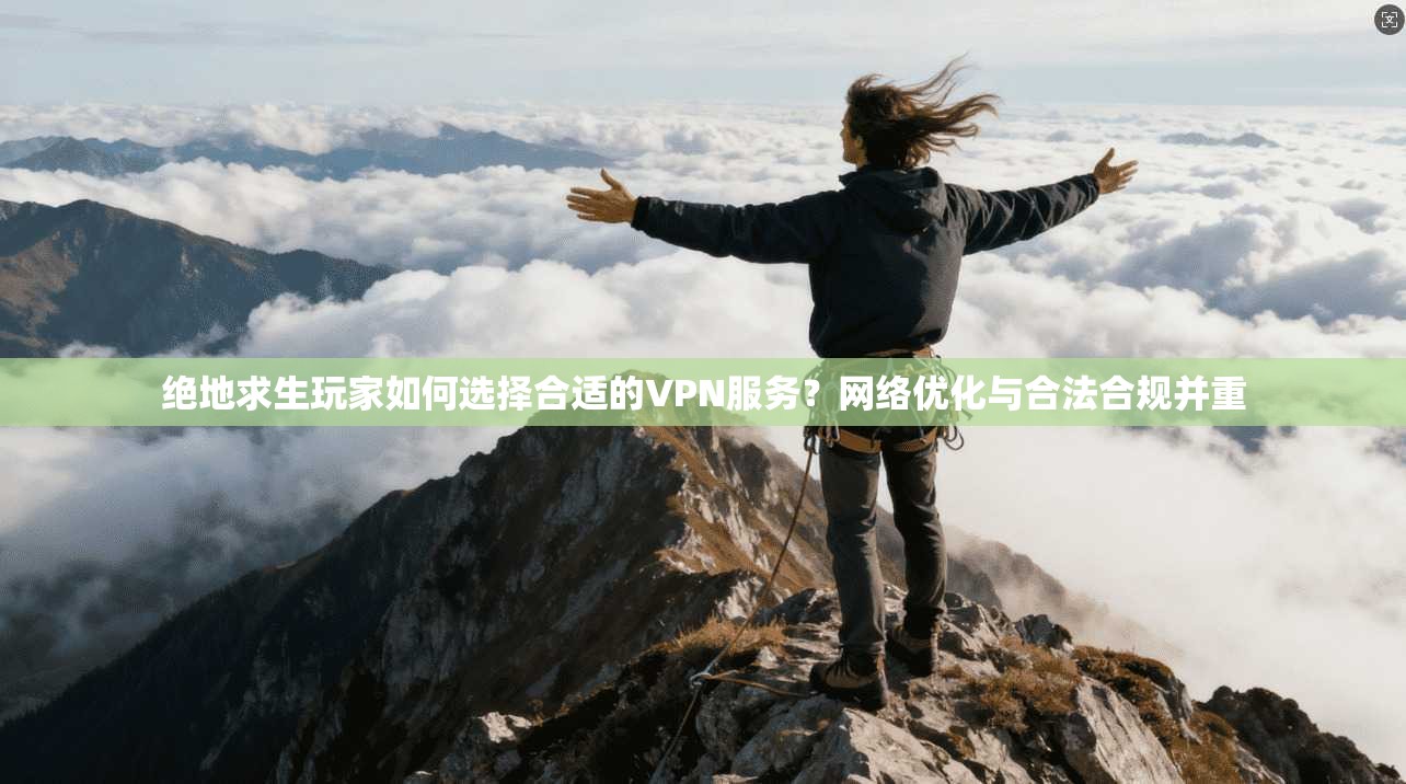 绝地求生玩家如何选择合适的VPN服务？网络优化与合法合规并重