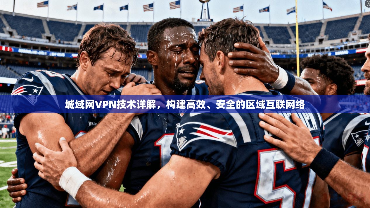 城域网VPN技术详解，构建高效、安全的区域互联网络