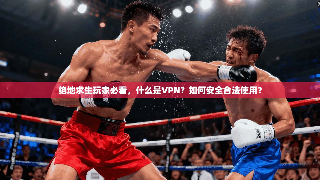 绝地求生玩家必看，什么是VPN？如何安全合法使用？
