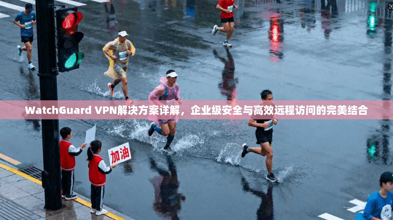 WatchGuard VPN解决方案详解，企业级安全与高效远程访问的完美结合