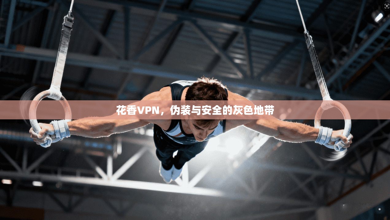 花香VPN，伪装与安全的灰色地带