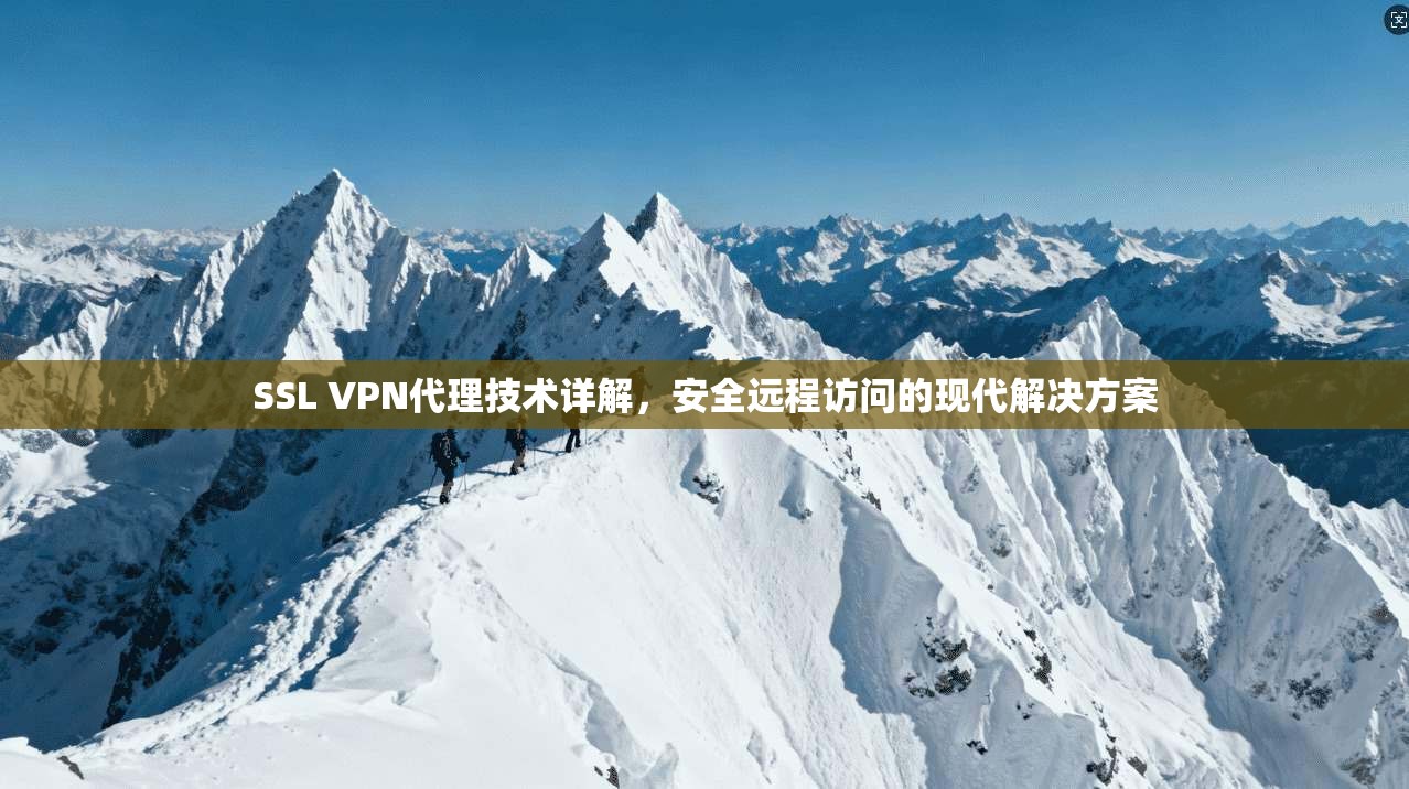 SSL VPN代理技术详解，安全远程访问的现代解决方案