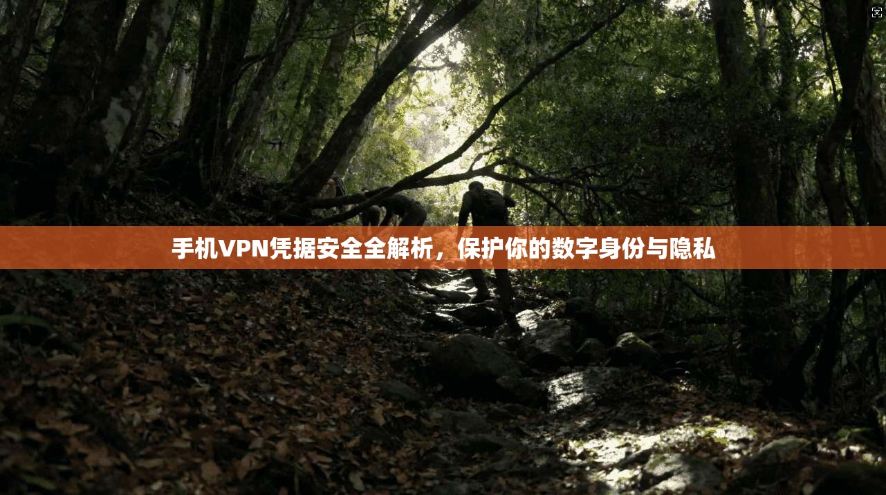 手机VPN凭据安全全解析，保护你的数字身份与隐私