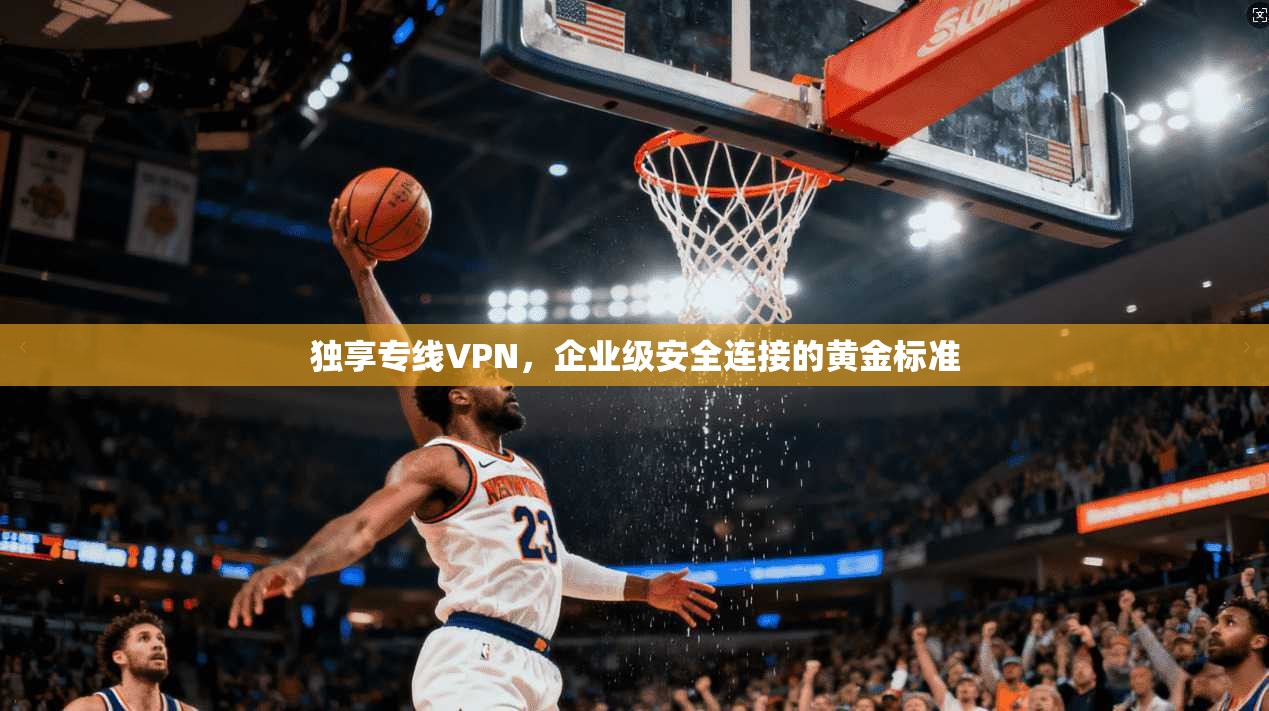 独享专线VPN，企业级安全连接的黄金标准