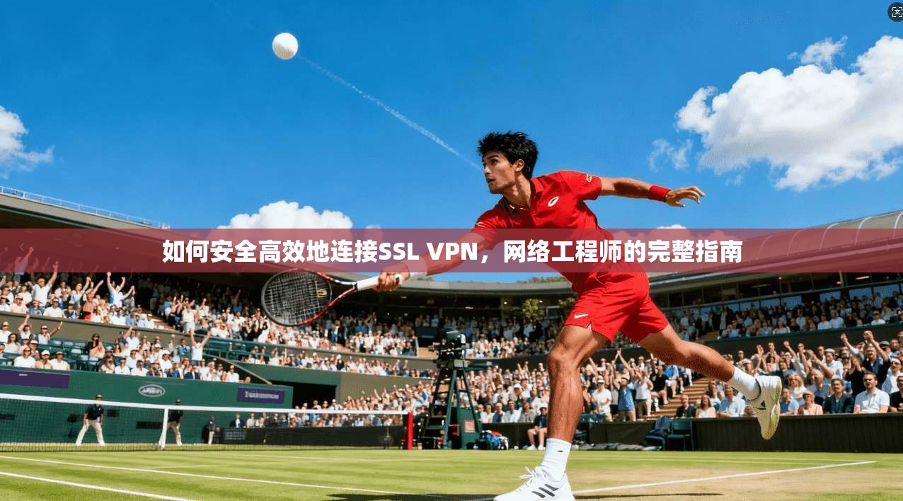 如何安全高效地连接SSL VPN,网络工程师的完整指南 如何安全高效地连接SSL VPN,网络工程师的完整指南