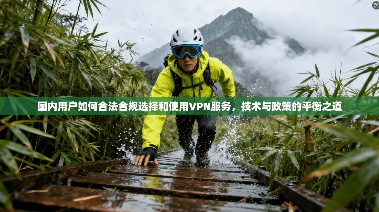 国内用户如何合法合规选择和使用VPN服务，技术与政策的平衡之道